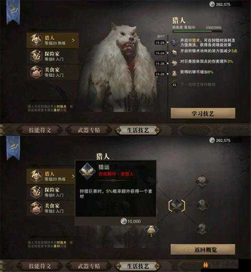 猎魂觉醒法师全面解析，技能属性详解与高效玩法攻略