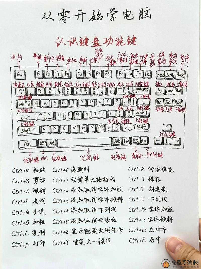 光荣使命新手入门指南，基础操作与键位设置全面解析